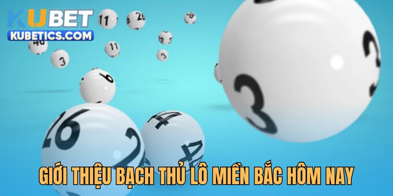 Giới thiệu cách đánh bạch thủ lô miền Bắc hôm nay
